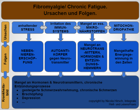Fibromyalgie und Chronic Fatigue Behandlung in der Integralen Heil- und LebensPraxis in Bonn